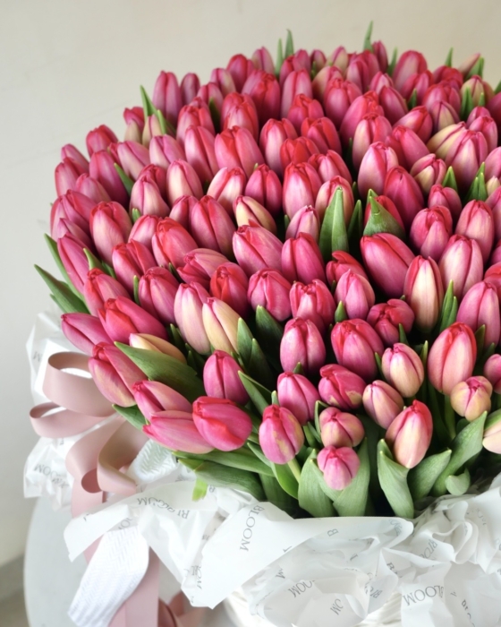 Kosz czerwonych tulipanow