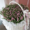 Kosz różowych tulipanów 301-1