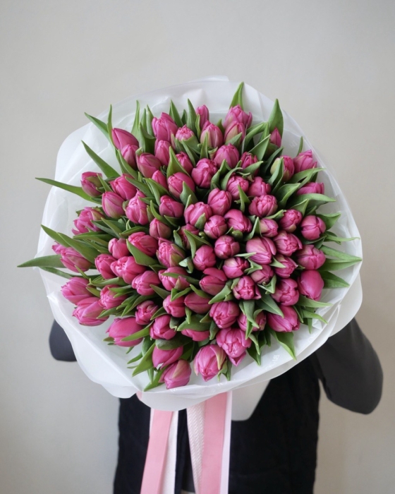 Malinowe Tulipany Pełne 75