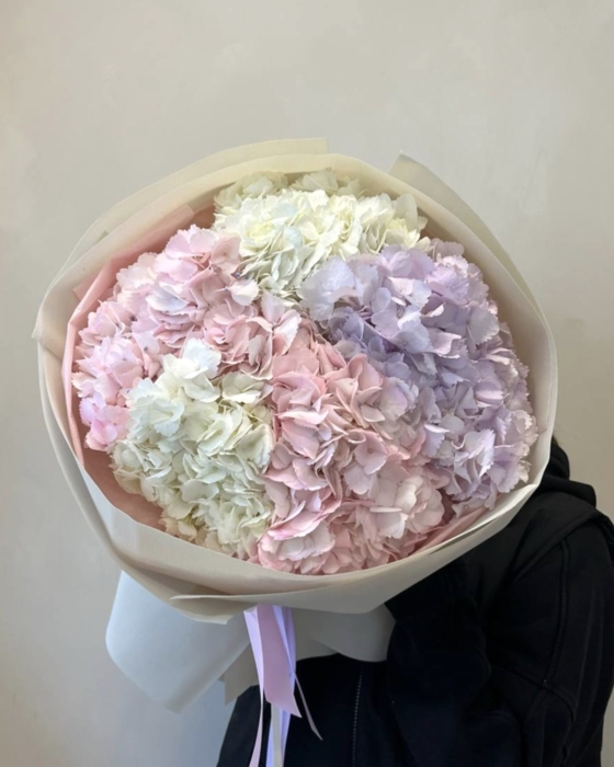 mix hortensji 5 szt