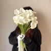 Kalie 15