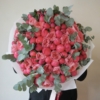 coral-bloom