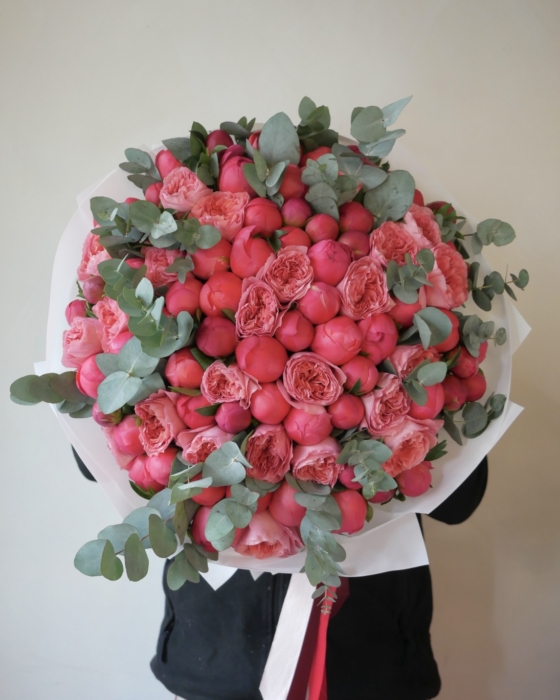 coral-bloom