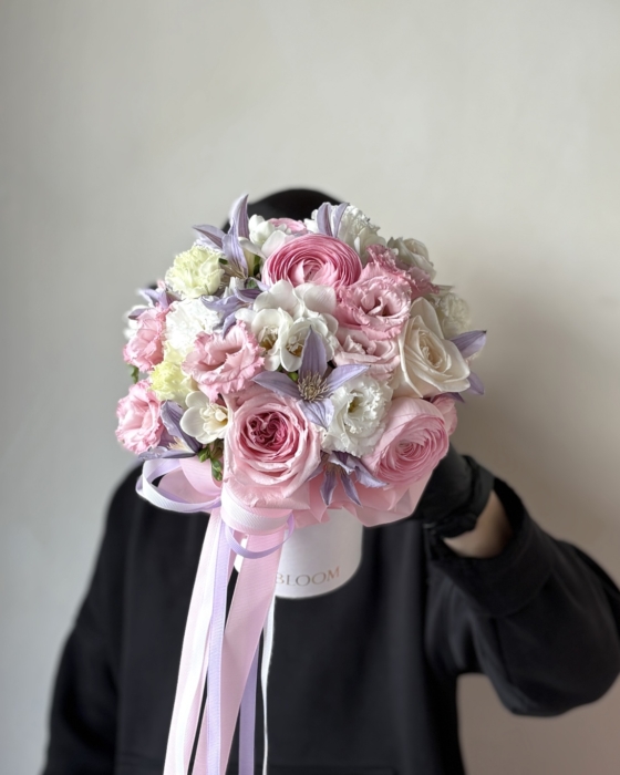 soft-elegance.