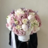 soft elegance box