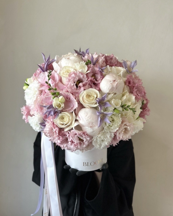 soft elegance box