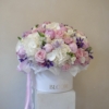 Soft Elegance grande