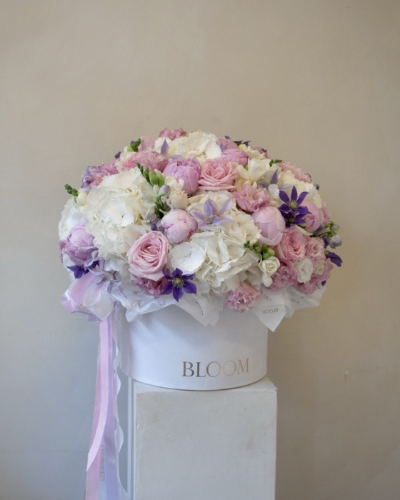 Soft Elegance grande