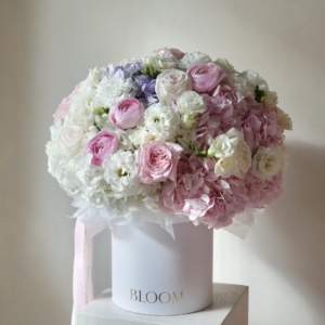 Soft Elegance tlo