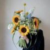 sun & sky-1